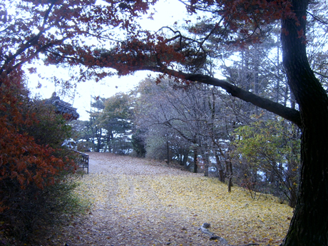 수어장대 바로 아래에서 찍은 사진입니다. 노란 은행잎 길이 정말로 운치있어 보입니다. 저 길로 쭉 들어가면 수어장대 문턱에 다다릅니다. 소나무와 은행, 그리고 빨간 단풍잎들을 보며 온갖 조화로움과 풍요가 이 성에 다 깃들어 있다는 생각을 하게 됩니다. 